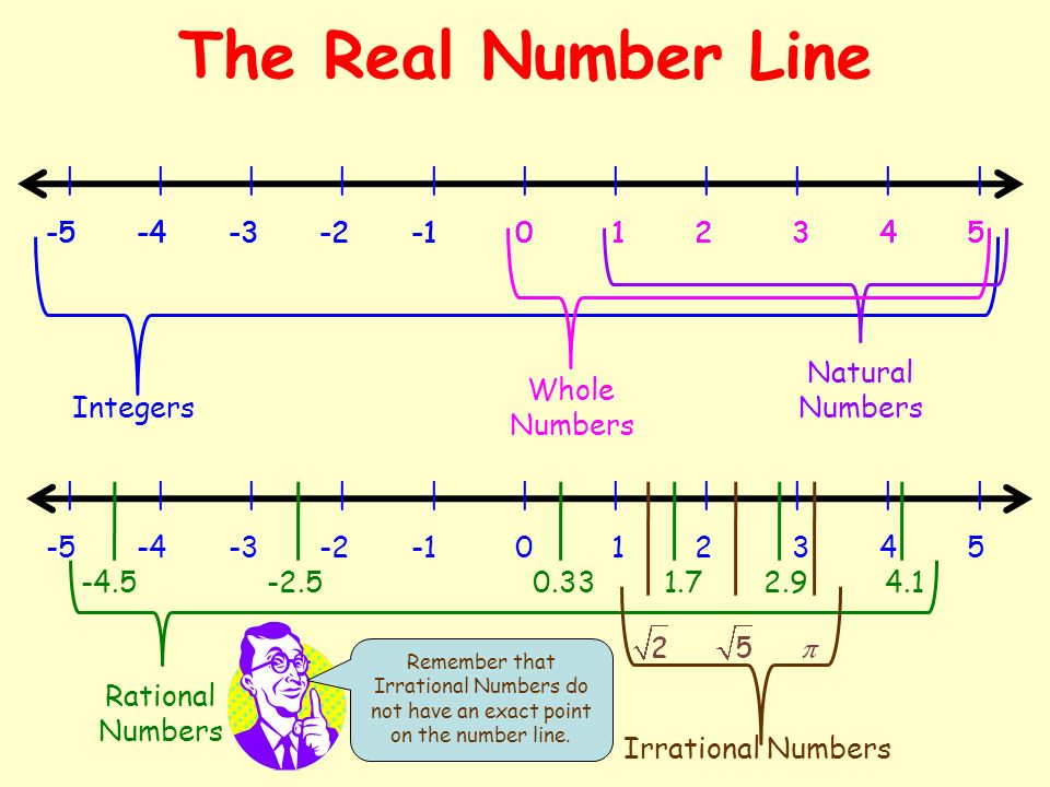 Graphing Real Numbers On A Number Line Worksheet