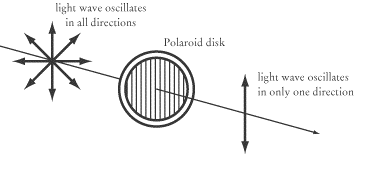polarization-CBSE-Class12 physics