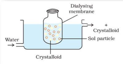 Purification of colloidal Solution
